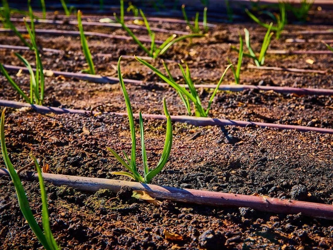 drip irrigation system drip irrigation system